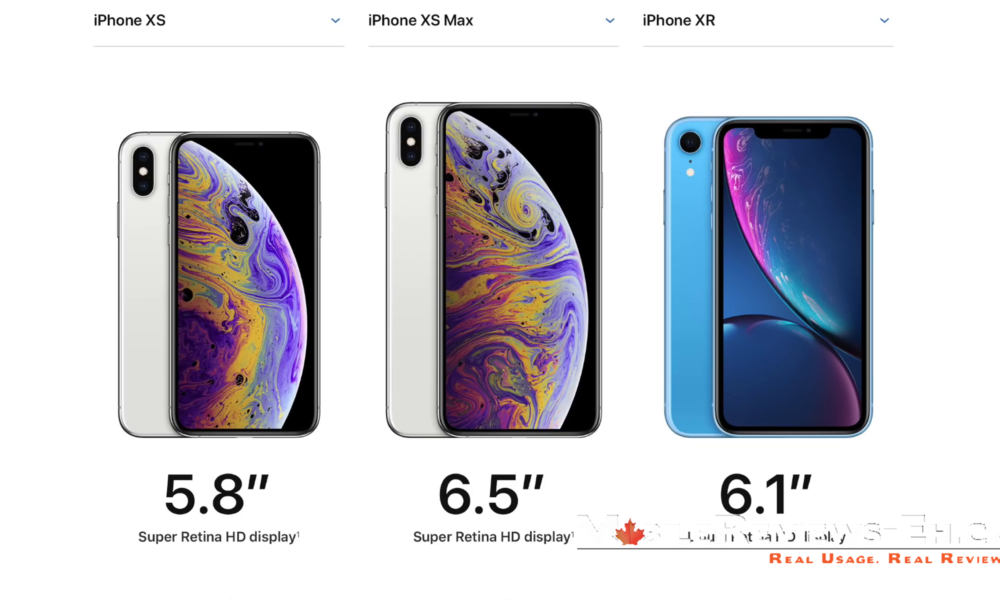 17 Differences between the iPhone Xr and iPhone XS- different screen size