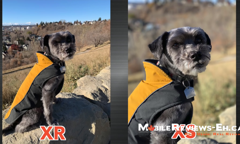 17 Differences between the iPhone Xr and iPhone XS- camera comparison 2